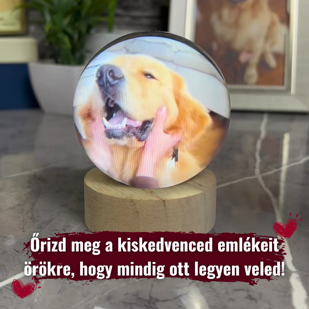 Memora - Mágikus Emlékőrző Kristálygömb | Egy szelet a múltból