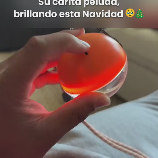 MemoraSphere con el vídeo de un perro en Navidad