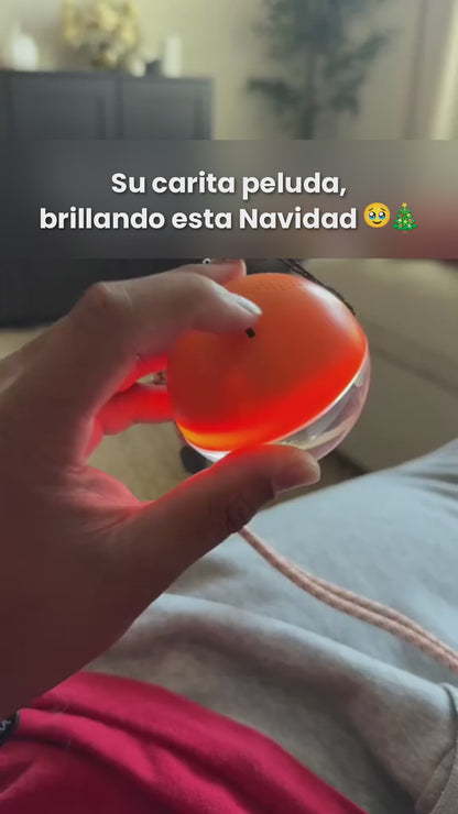MemoraSphere con el vídeo de un perro en Navidad
